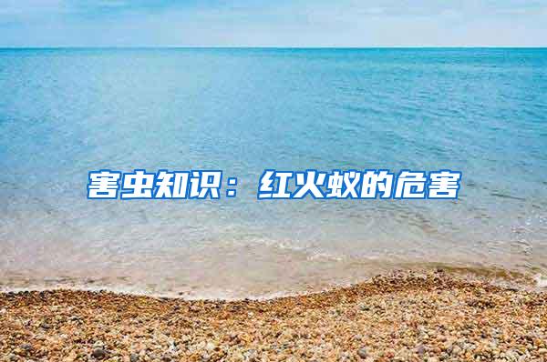 害蟲知識(shí)：紅火蟻的危害