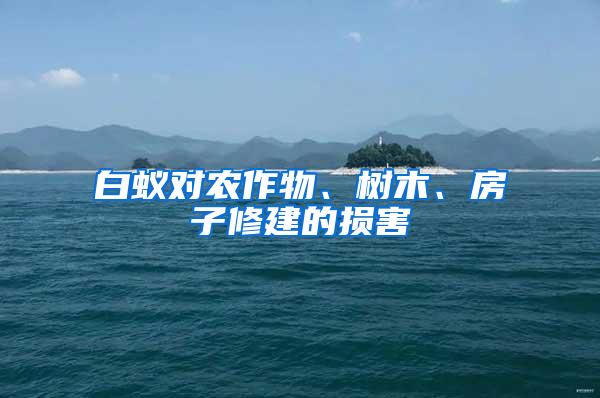 白蟻對農(nóng)作物、樹木、房子修建的損害