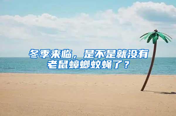 冬季來臨，是不是就沒有老鼠蟑螂蚊蠅了？
