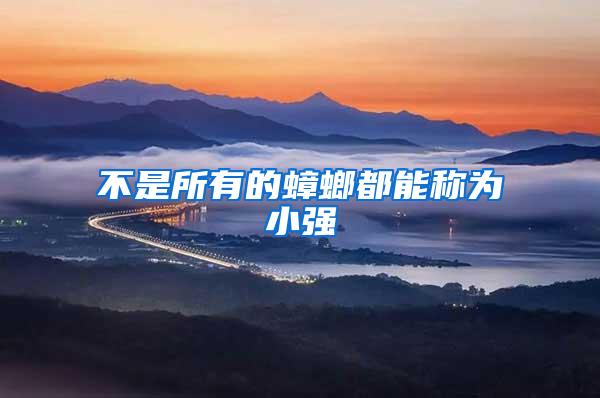 不是所有的蟑螂都能稱為小強(qiáng)