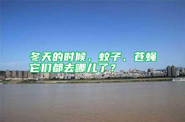 冬天的時(shí)候，蚊子、蒼蠅它們都去哪兒了？