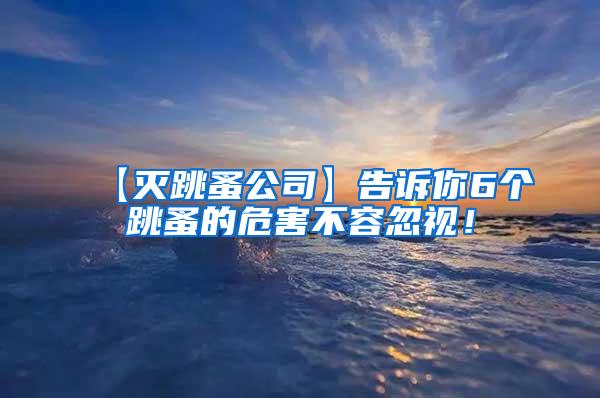 【滅跳蚤公司】告訴你6個跳蚤的危害不容忽視！