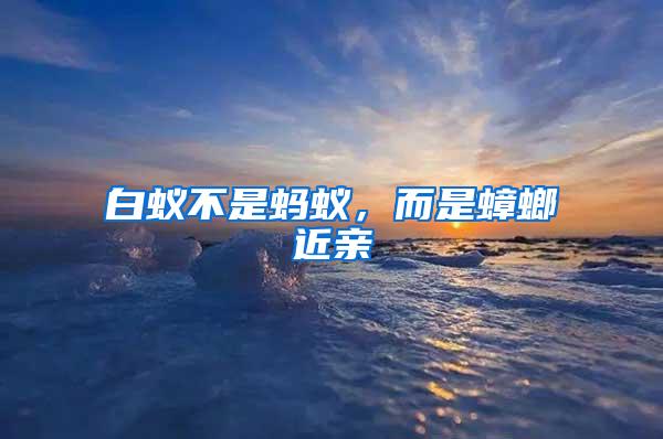 白蟻不是螞蟻，而是蟑螂近親