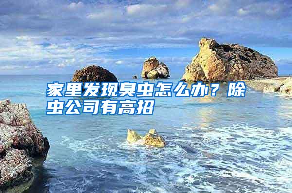 家里發(fā)現(xiàn)臭蟲怎么辦？除蟲公司有高招