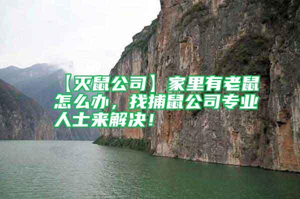 【滅鼠公司】家里有老鼠怎么辦，找捕鼠公司專業(yè)人士來解決！