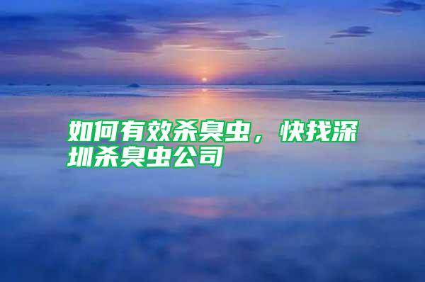 如何有效殺臭蟲，快找深圳殺臭蟲公司