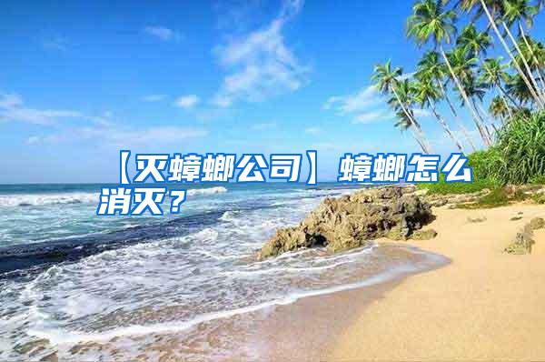 【滅蟑螂公司】蟑螂怎么消滅？