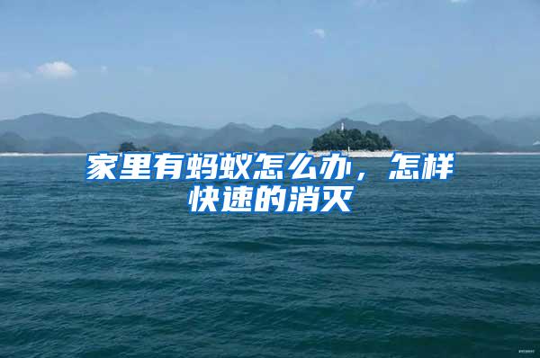 家里有螞蟻怎么辦，怎樣快速的消滅