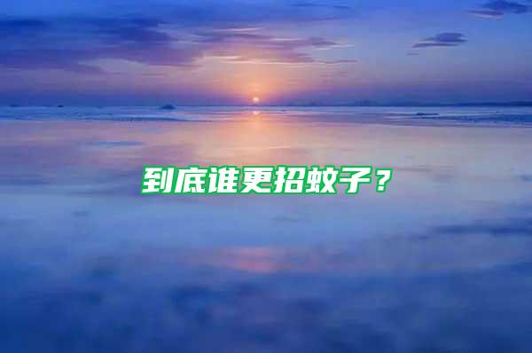 到底誰更招蚊子？
