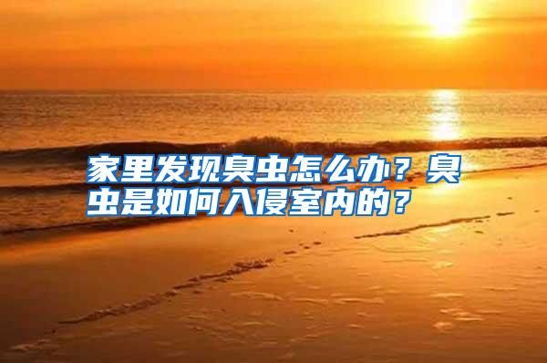 家里發(fā)現(xiàn)臭蟲(chóng)怎么辦？臭蟲(chóng)是如何入侵室內(nèi)的？