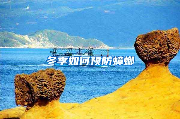 冬季如何預(yù)防蟑螂