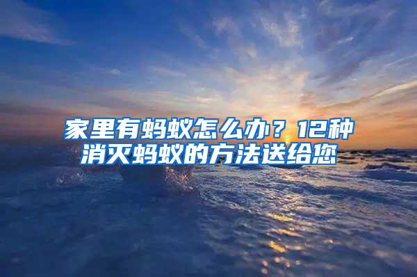 家里有螞蟻怎么辦？12種消滅螞蟻的方法送給您