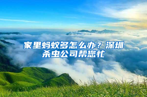 家里螞蟻多怎么辦？深圳殺蟲公司幫您忙