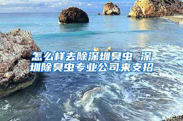 怎么樣去除深圳臭蟲(chóng) 深圳除臭蟲(chóng)專(zhuān)業(yè)公司來(lái)支招