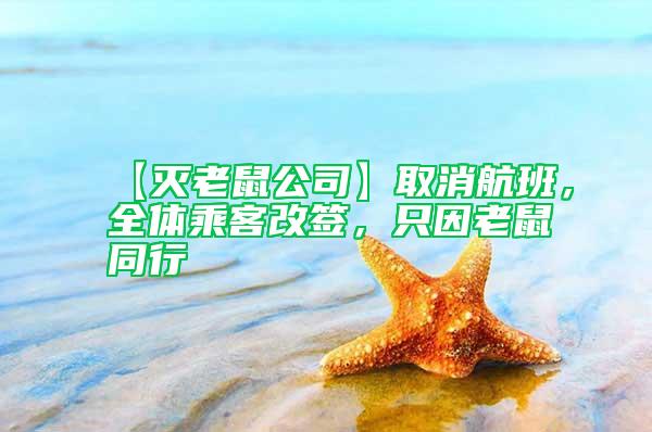 【滅老鼠公司】取消航班，全體乘客改簽，只因老鼠同行
