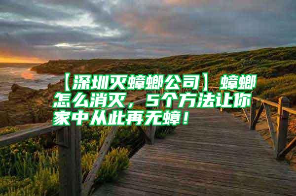 【深圳滅蟑螂公司】蟑螂怎么消滅，5個方法讓你家中從此再無蟑！