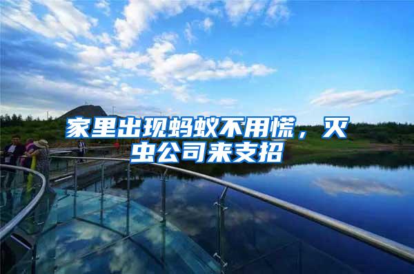 家里出現(xiàn)螞蟻不用慌，滅蟲公司來支招
