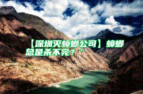 【深圳滅蟑螂公司】蟑螂總是殺不完？’