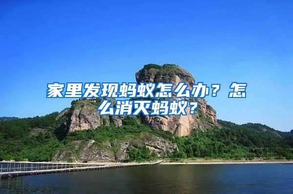 家里發(fā)現(xiàn)螞蟻怎么辦？怎么消滅螞蟻？