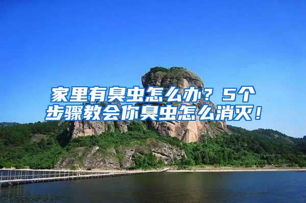 家里有臭蟲怎么辦？5個步驟教會你臭蟲怎么消滅！