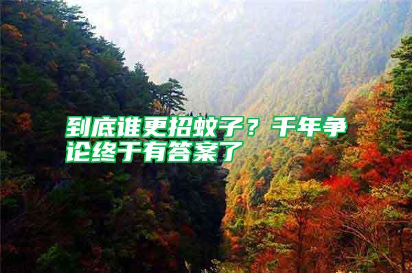 到底誰更招蚊子？千年爭論終于有答案了