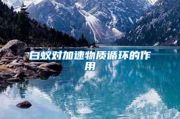 白蟻對加速物質(zhì)循環(huán)的作用