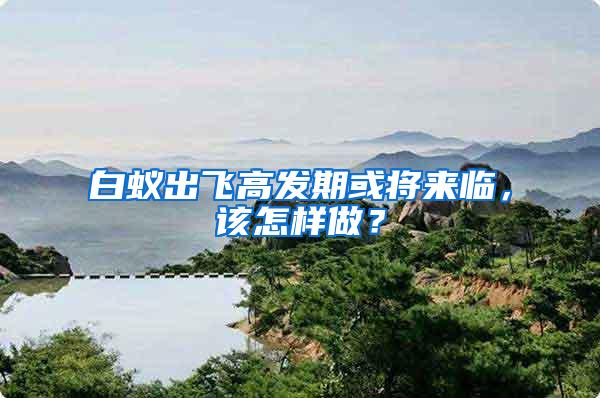白蟻出飛高發(fā)期或?qū)砼R，該怎樣做？
