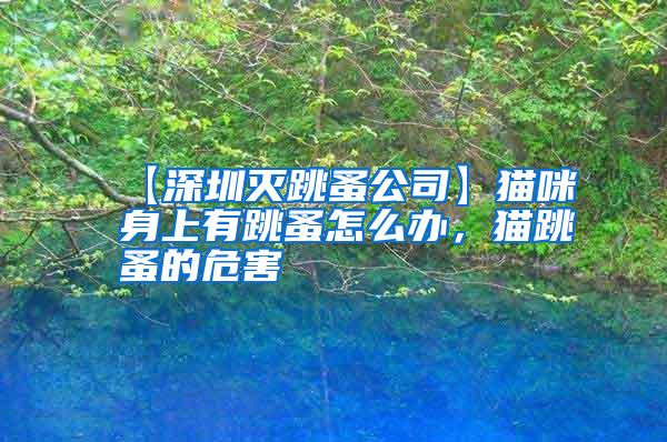 【深圳滅跳蚤公司】貓咪身上有跳蚤怎么辦，貓?zhí)榈奈：?/></p>
             <p style=