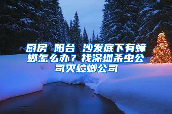 廚房 陽臺(tái) 沙發(fā)底下有蟑螂怎么辦？找深圳殺蟲公司滅蟑螂公司
