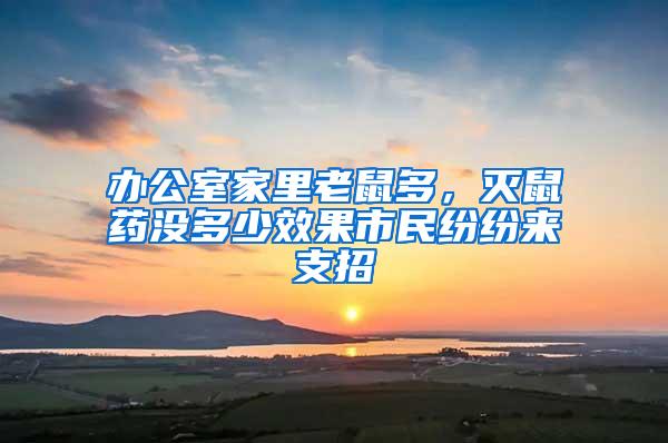 辦公室家里老鼠多，滅鼠藥沒多少效果市民紛紛來支招