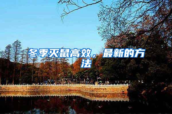 冬季滅鼠高效，最新的方法