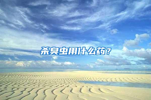 殺臭蟲用什么藥？