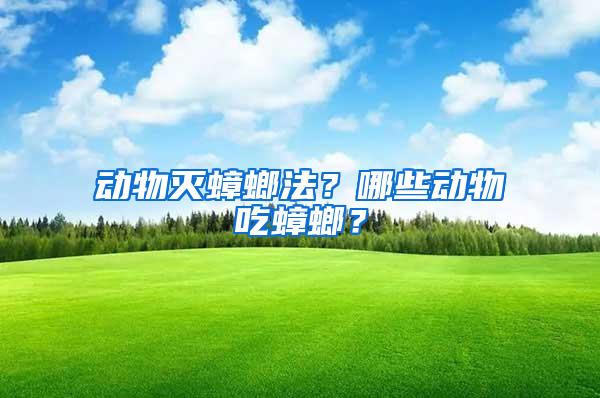 動物滅蟑螂法？哪些動物吃蟑螂？