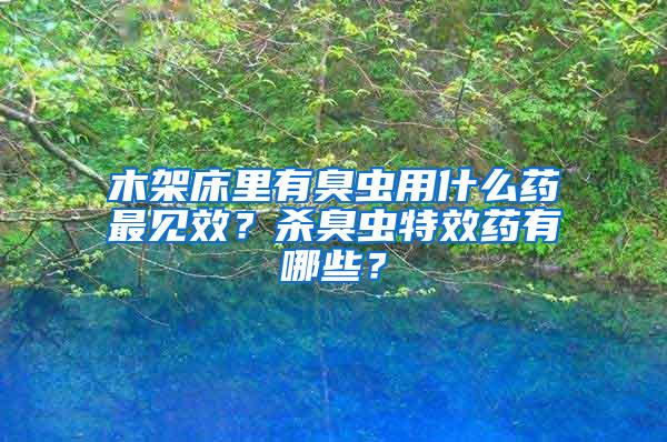 木架床里有臭蟲用什么藥最見效？殺臭蟲特效藥有哪些？