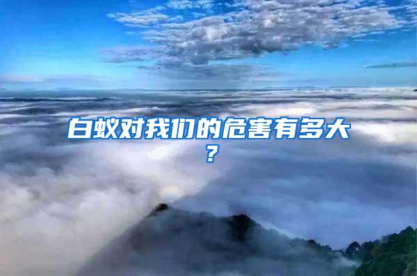 白蟻對(duì)我們的危害有多大？
