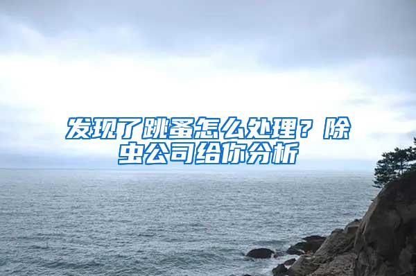 發(fā)現(xiàn)了跳蚤怎么處理？除蟲(chóng)公司給你分析
