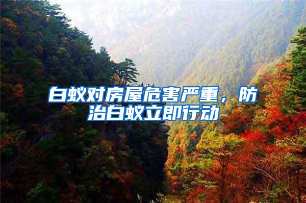白蟻對房屋危害嚴重，防治白蟻立即行動