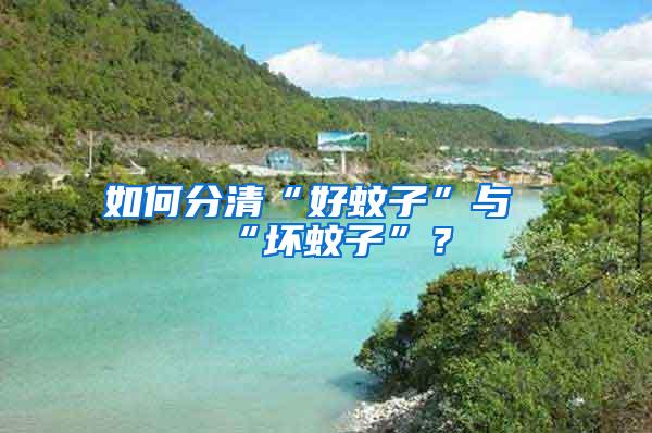 如何分清“好蚊子”與“壞蚊子”？