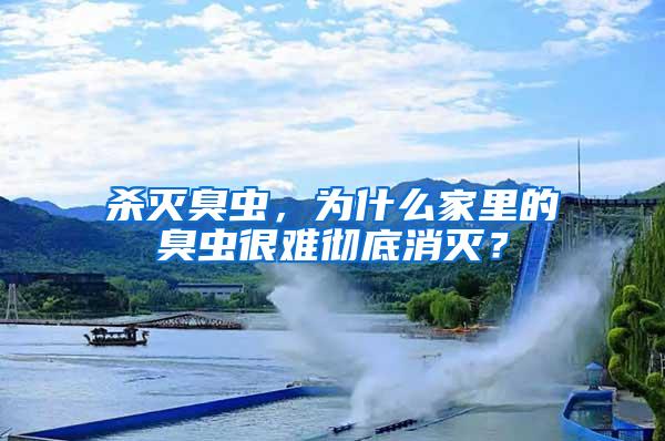 殺滅臭蟲，為什么家里的臭蟲很難徹底消滅？