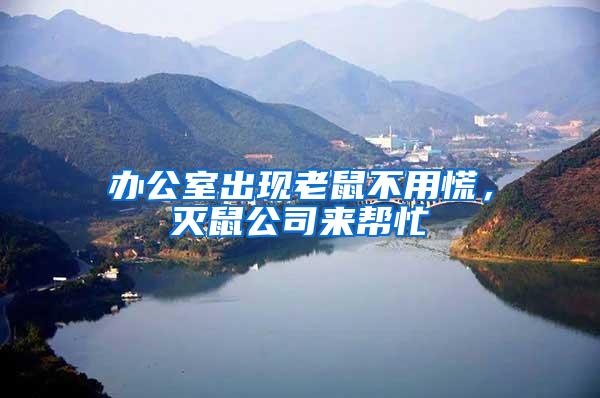 辦公室出現(xiàn)老鼠不用慌，滅鼠公司來(lái)幫忙