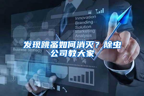 發(fā)現(xiàn)跳蚤如何消滅？除蟲公司教大家