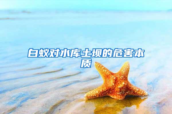 白蟻對水庫土壩的危害本質(zhì)