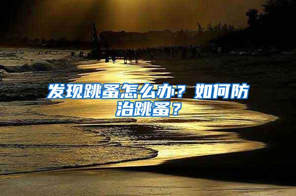 發(fā)現(xiàn)跳蚤怎么辦？如何防治跳蚤？