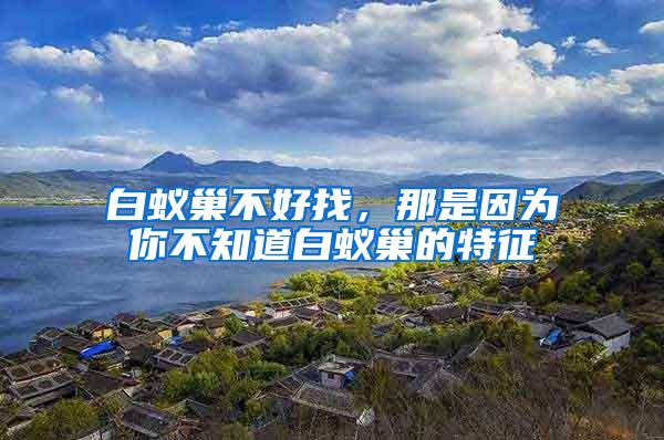 白蟻巢不好找，那是因?yàn)槟悴恢腊紫伋驳奶卣?/></p>
             <p style=