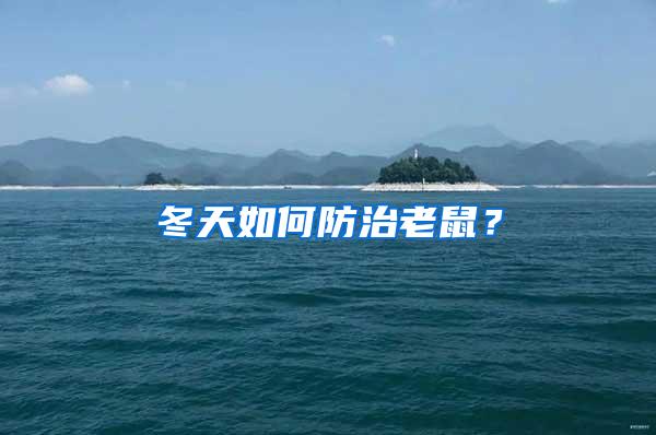 冬天如何防治老鼠？