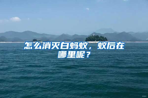 怎么消滅白螞蟻，蟻后在哪里呢？