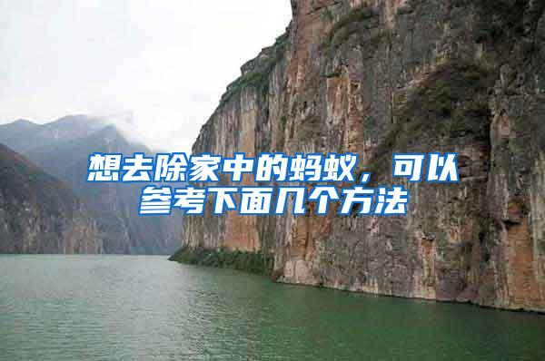 想去除家中的螞蟻，可以參考下面幾個方法
