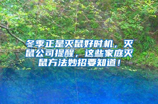 冬季正是滅鼠好時機，滅鼠公司提醒，這些家庭滅鼠方法妙招要知道！
