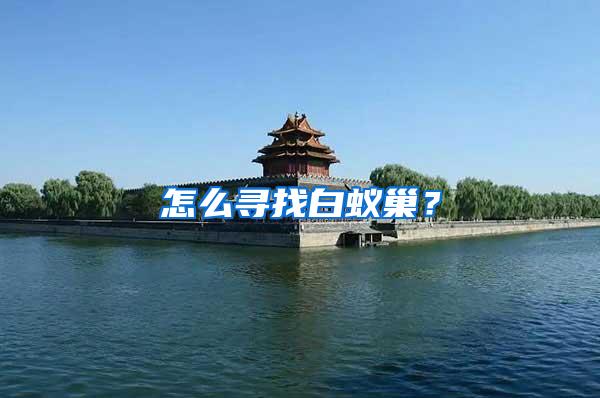 怎么尋找白蟻巢？