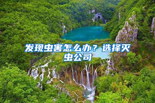 發(fā)現(xiàn)蟲害怎么辦？選擇滅蟲公司